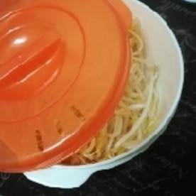 100均のレンジ調理器で簡単もやしナムル レシピ 作り方 By Ishiho 楽天レシピ 100均のレンジ調理器で簡単もやしナムル レシピ 作り方 By Ishiho 楽天レシピ